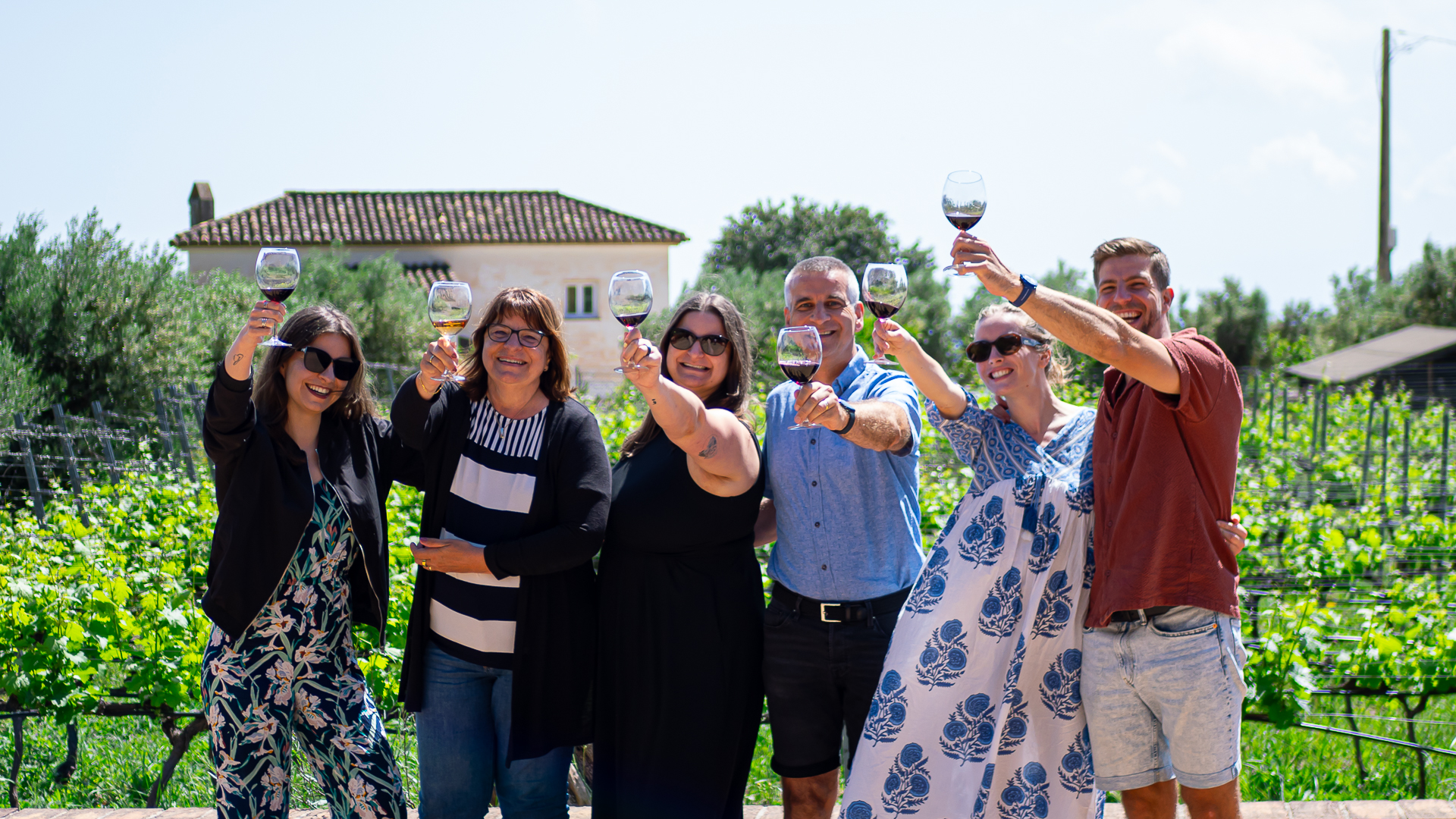 Vineyard group toast — boutique wine tour